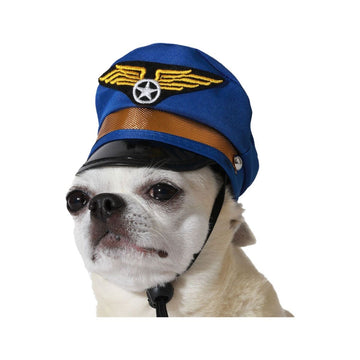 Dog Costume Blue Hat